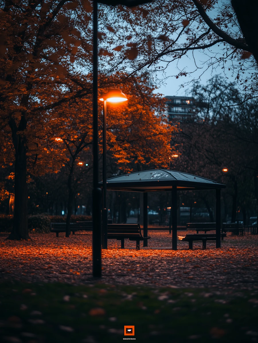 An empty park pavilion with benches, lit by a single lamppost at dusk